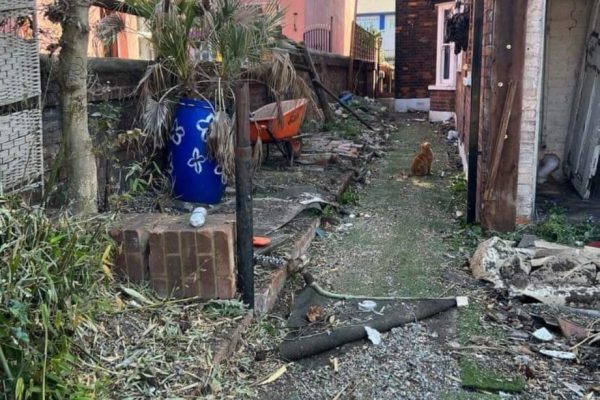 groundswork2 groundswork2