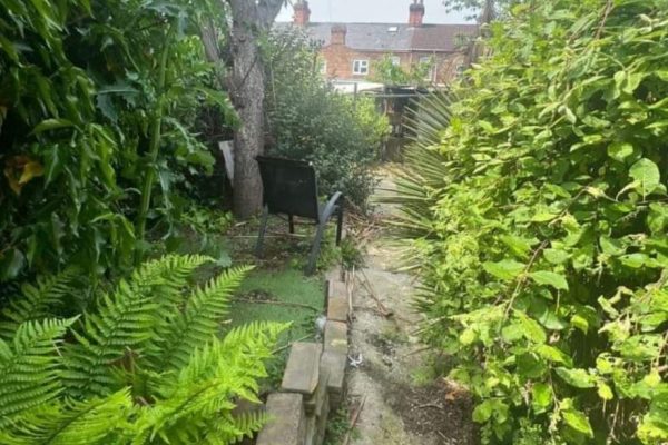 landscaping landscaping